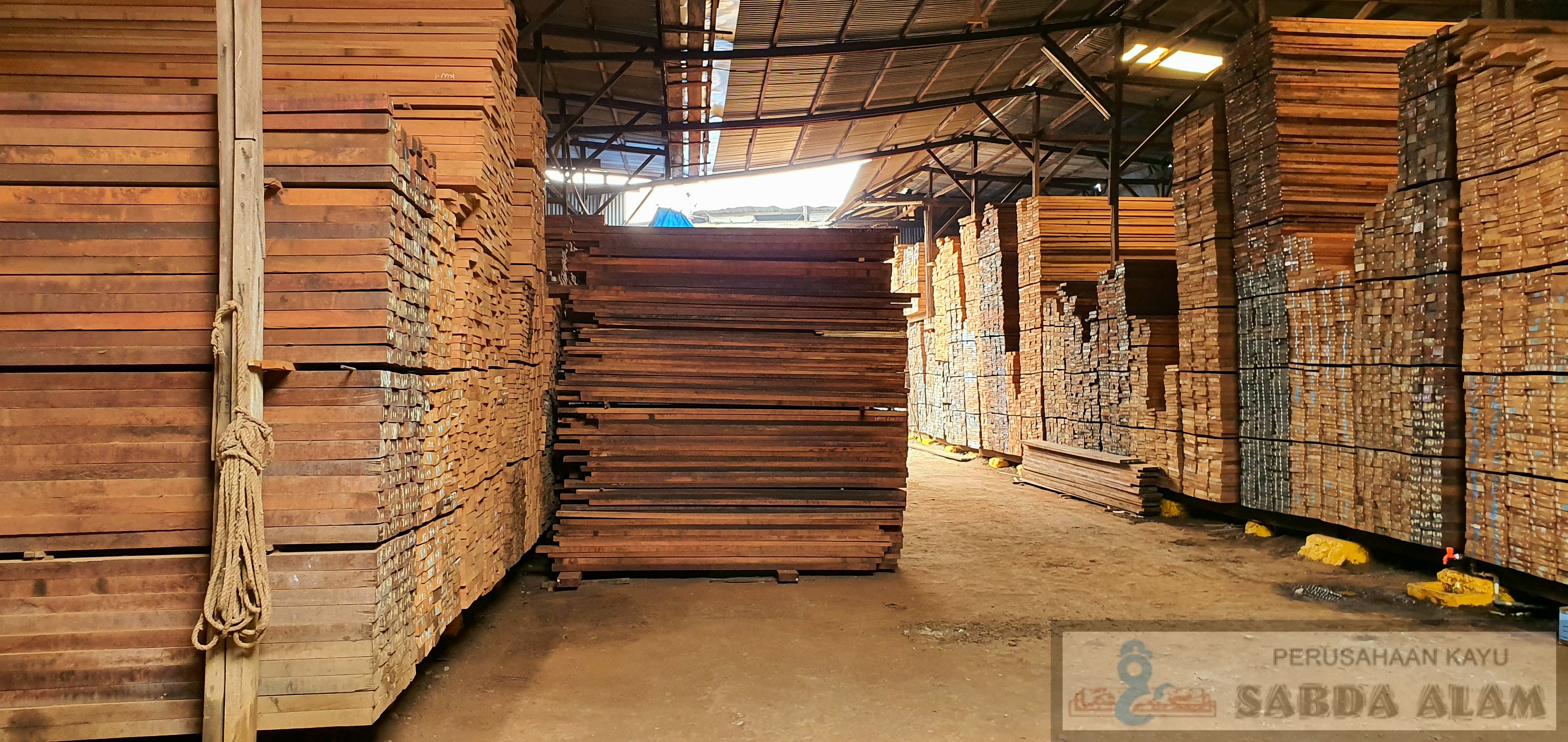 BEDA KAYU LEGAL DAN KAYU ILEGAL